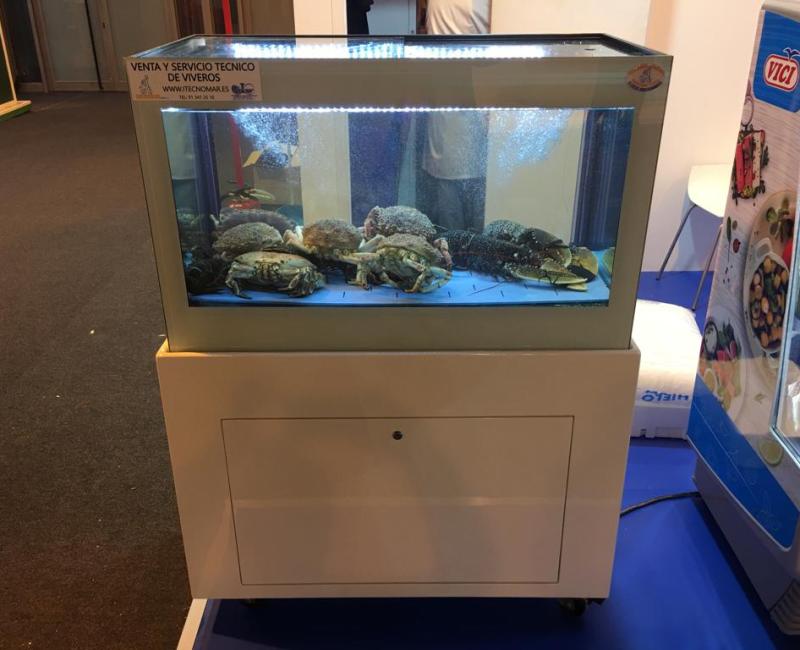 Vivero_Mercury_VTR_Blanco_2 - Acuarios y Viveros de marisco Tecnomar